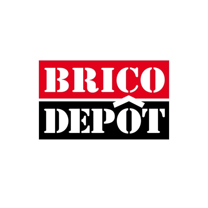 Brico depot sene