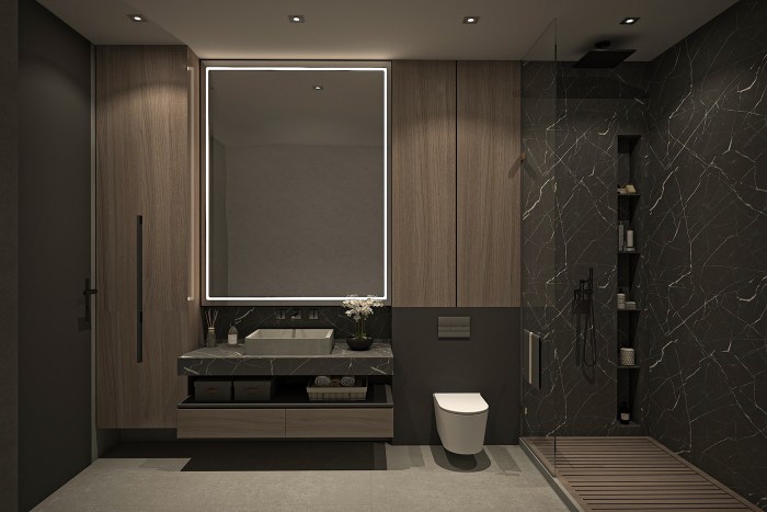 Agencement salle de bain couloir