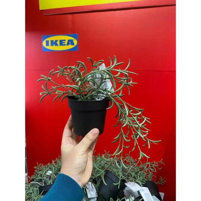 Ikea potted artificial plant oregano fejka