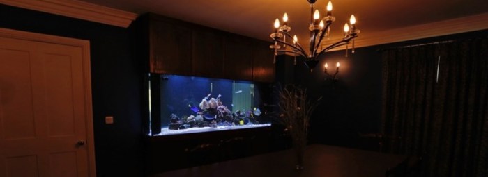 Aquarium separation de piece