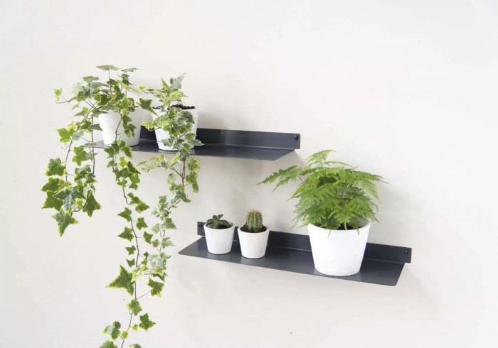 Etagere plante leroy merlin