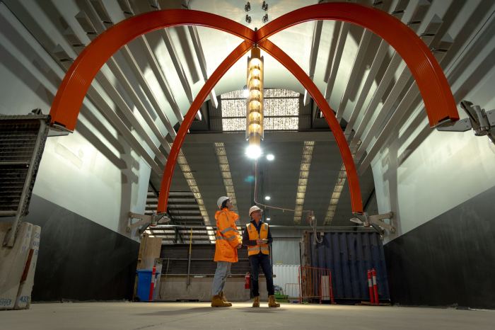 Serre tunnel auchan