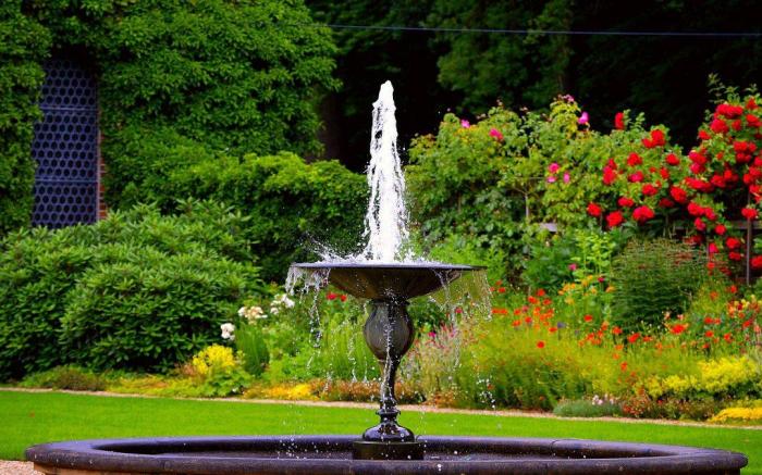 Solar water garden fountains outdoor fountain planter plants pump not tall panel small serenityhealth saved