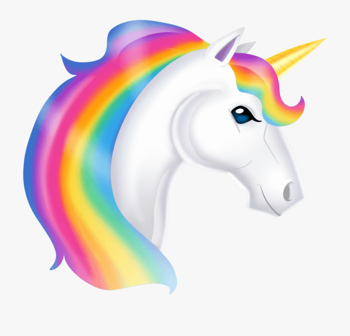 Unicorns graphic mane binged