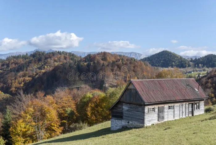 Maison en bois pas cher roumanie