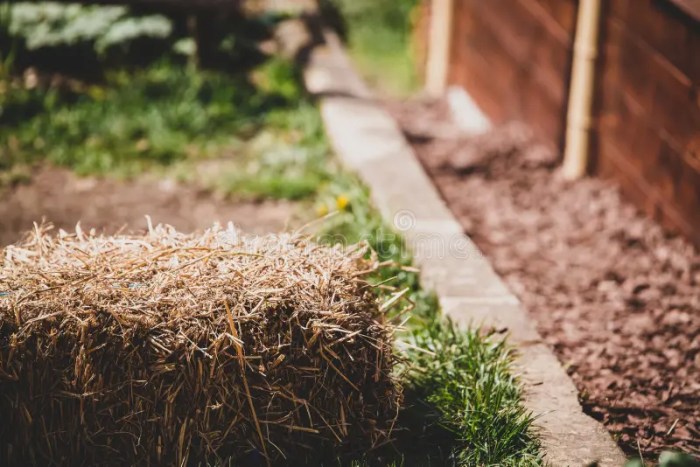 Straw mulch pea organic 6m2 50mm bale 10m garden bunnings bed raised fill workshop step