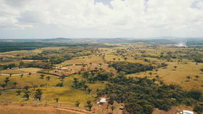 Undeveloped land