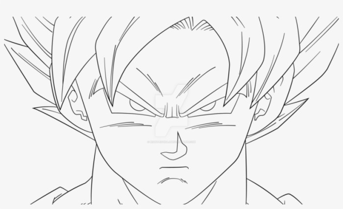 Comment dessiner sangoku facilement