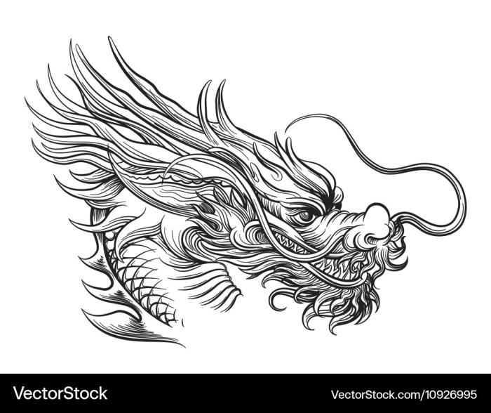 Tete de dragon chinois dessin