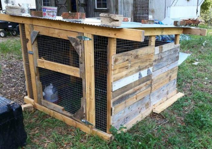 Chicken coop pallets pallet made wood recycled coops build ideas diy building poulailler 1001pallets plans old un furniture garden using