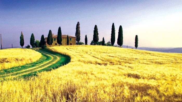 Plaquette de parement toscane