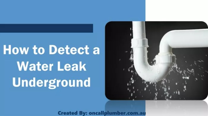 Underground leak detection leaks gas water detect detector