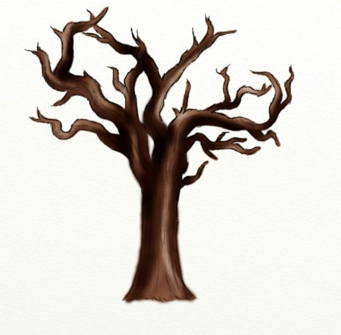 Dessiner un arbre sans feuille