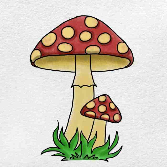 Comment dessiner un champignon