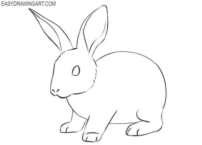 Dessin de lapin facile a reproduire