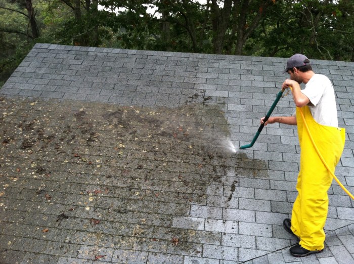 Moss roof scraping biocide