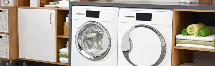 Tumble dryers dryer