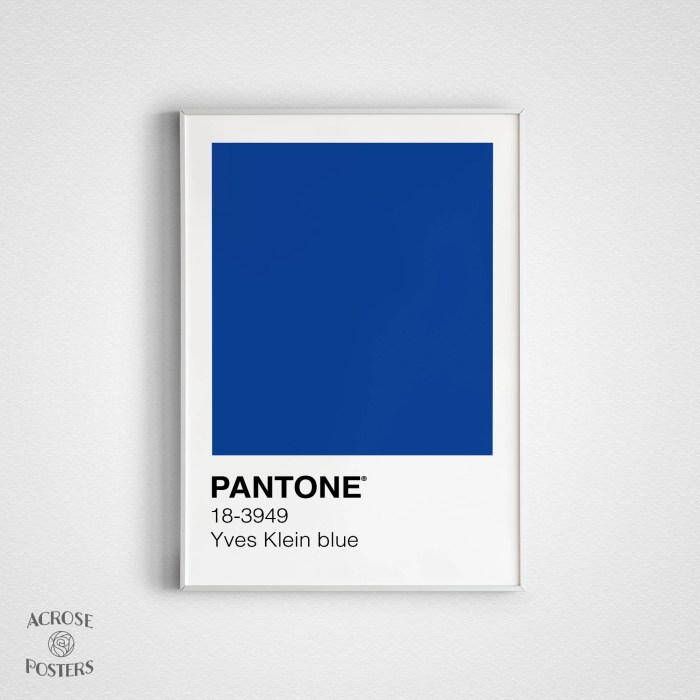 Pantone 286c yves rachael