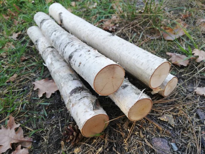 Logs gumtree freebies