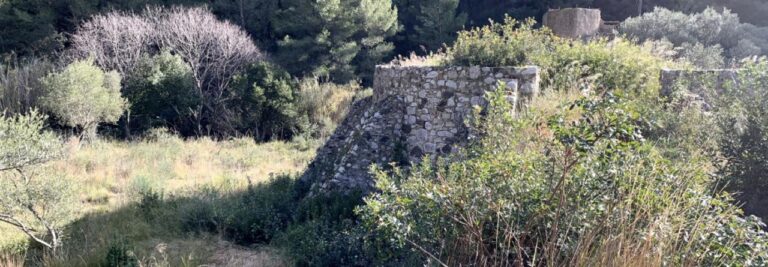 Latelier du vigneron ollioules