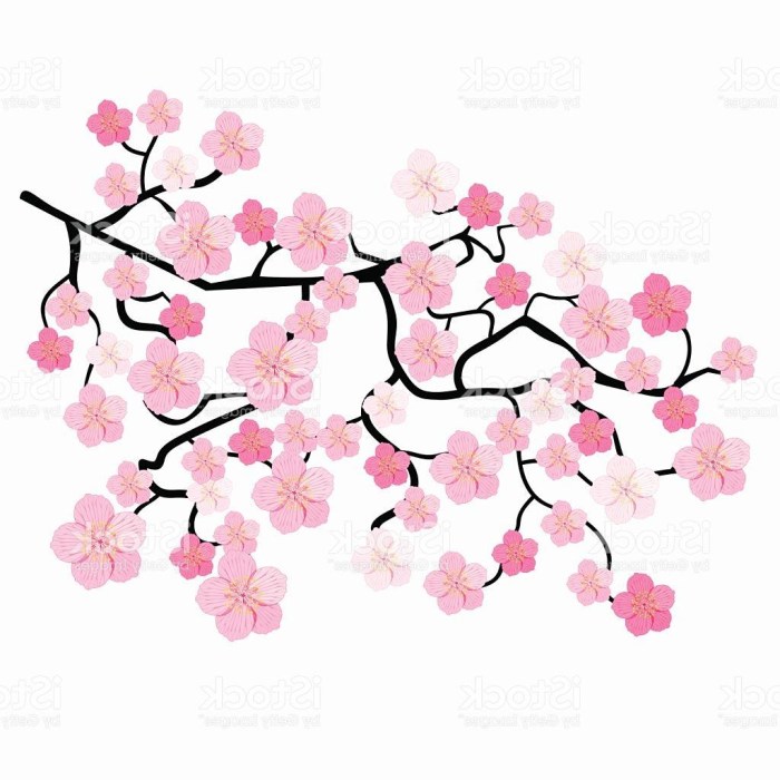 Cherry blossom tree drawing japanese sketch sakura easy trees painting pencil watercolor draw drawings paint tumblr single blossoms splatter paintingvalley