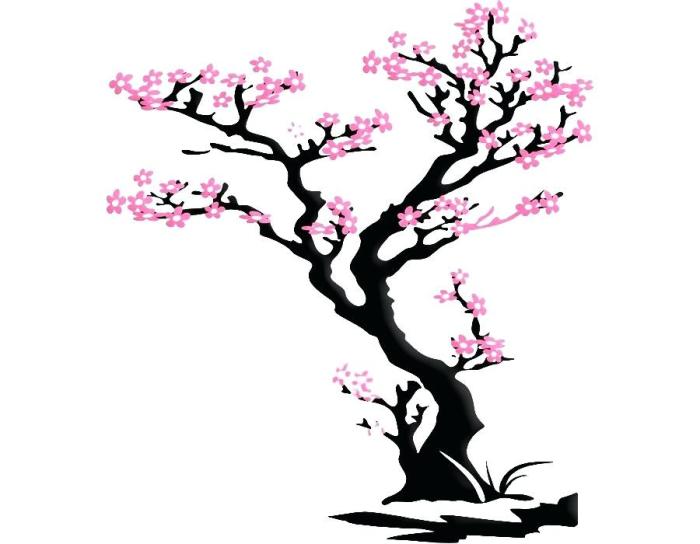 Cherry drawing blossoms japanese blossom draw flower branch easy sakura simple drawings tutorial really paintingvalley step