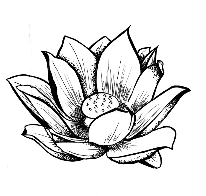 Fleur japonaise dessin