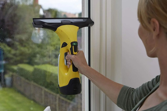 Window vacuum karcher cleaning cleaner