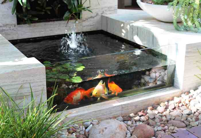 Pond minimalist fish kolam ikan koi top backyard ideas garden ponds small article gardens