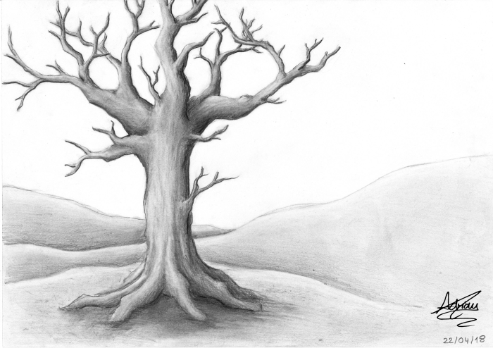 Dessin dun arbre sans feuille