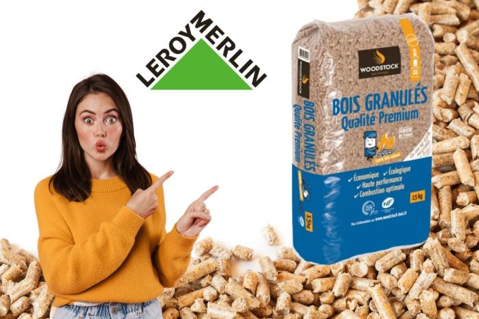 Chaudiere granule leroy merlin