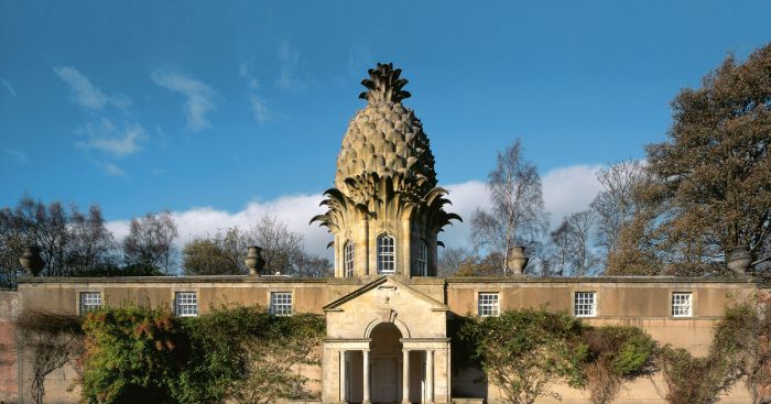 Ananas maison du monde