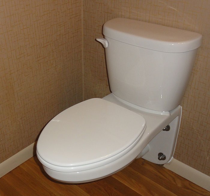 Toilet wall mounted install