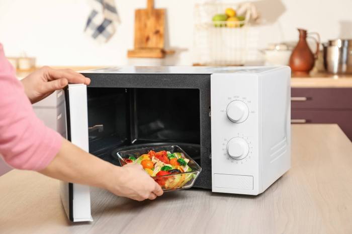 Microwave styrofoam reliable most microwaves microonde utilizzare