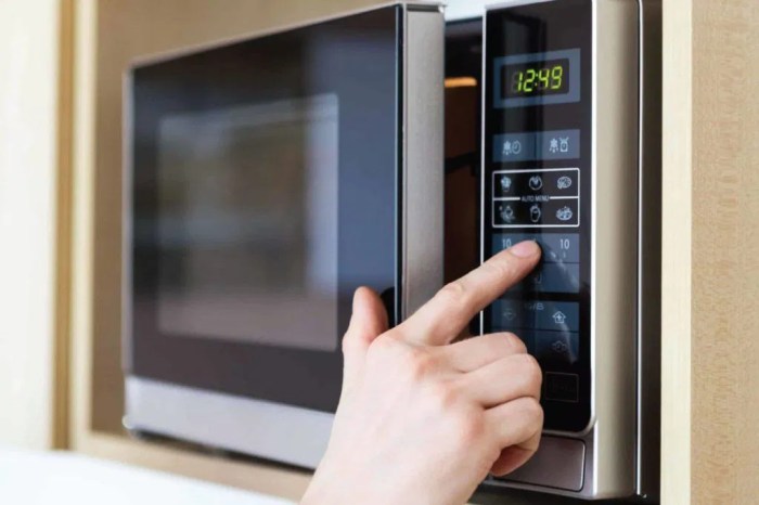 Microwave terbaik tokopedia jepang watt