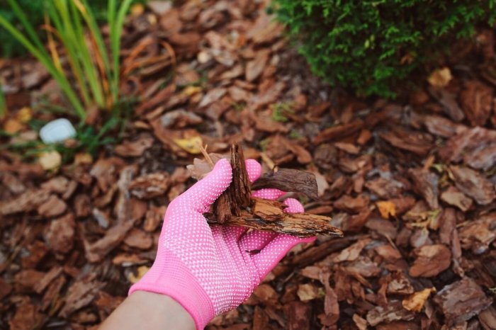 Mulch homestead