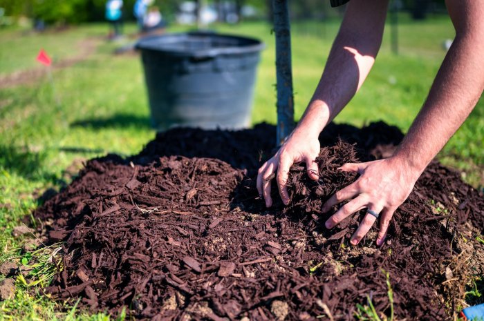 Chip hardwood bark mulch bulk supplier deliveries