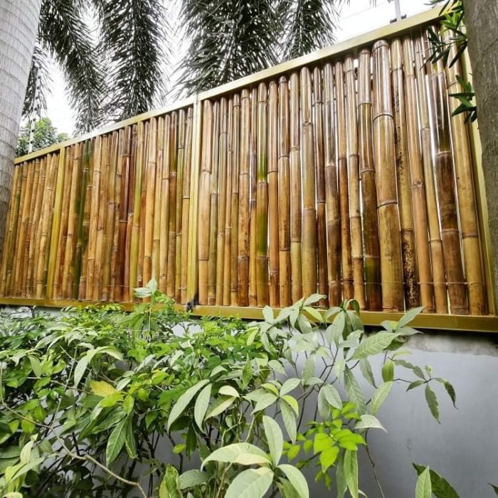 Bamboo bunnings