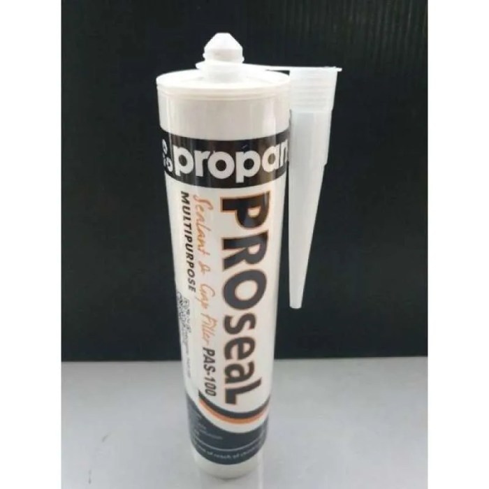 Procol mastic piscine leroy merlin