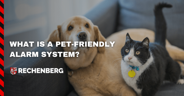 Pet friendly alarms alarm quote today get sensors