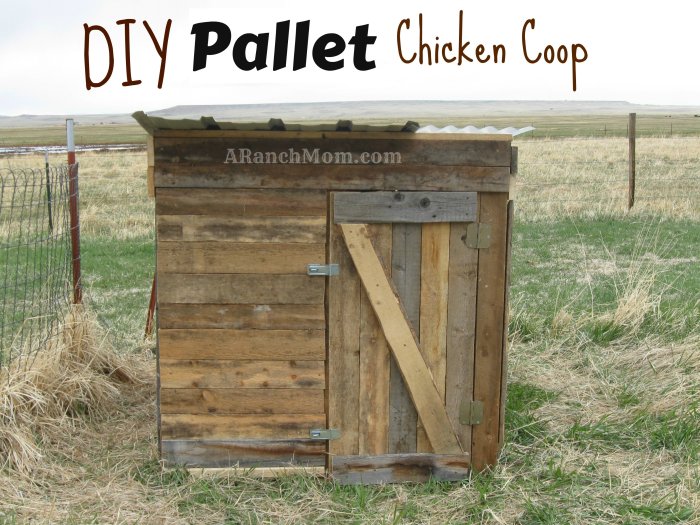 Chicken coop pallets pallet wood coops ideas 1001pallets garden animal building article