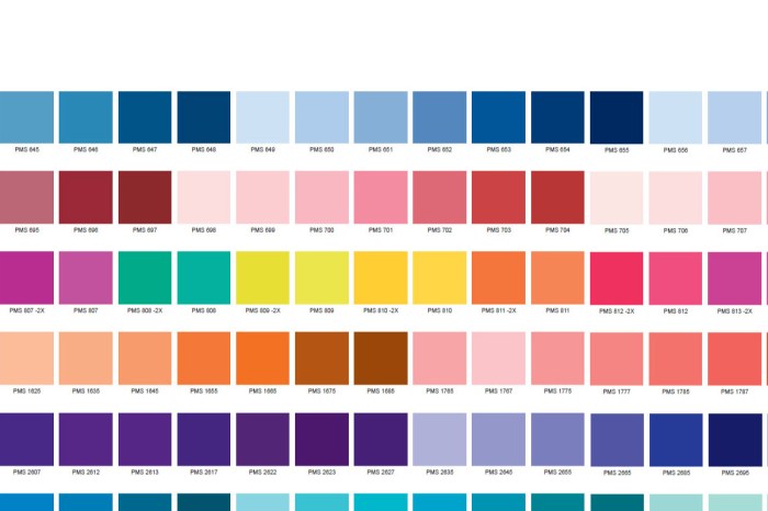 Nuancier pantone pdf gratuit