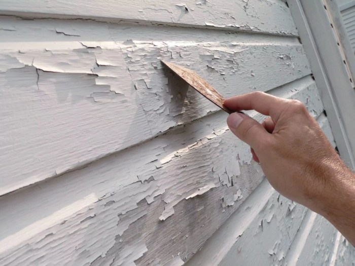 Wood paint exterior siding