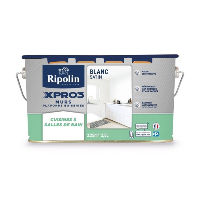 Peinture nuancier merlin leroy luxens peintures ripolin lasure sikkens idees trendmetr ides