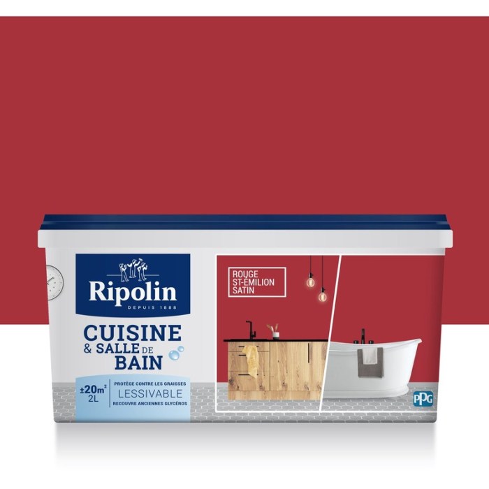 Leroy merlin peinture ripolin