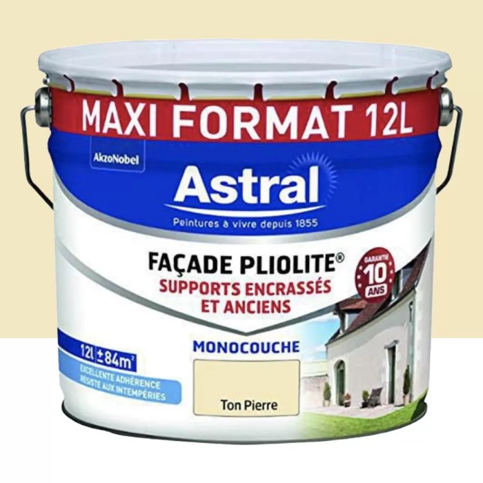 Peinture facade pliolite brico depot