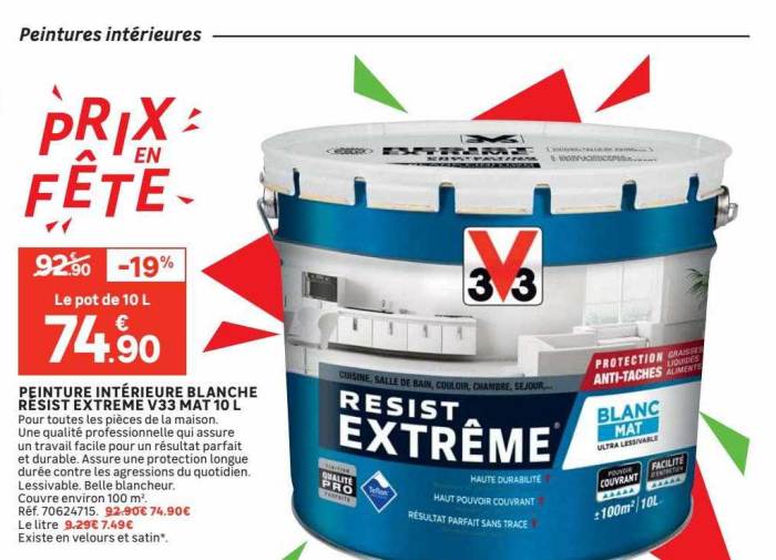 Peinture v33 climat extreme leroy merlin