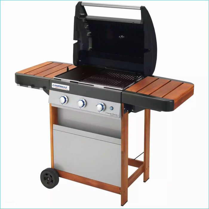 Barbecue detachees gaz castorama volet