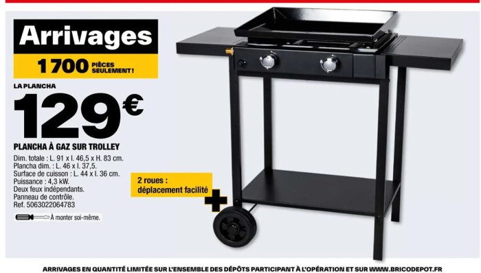 Barbecue gaz plancha brico habitatetjardin bruleurs trendmetr chere dsbarbecue