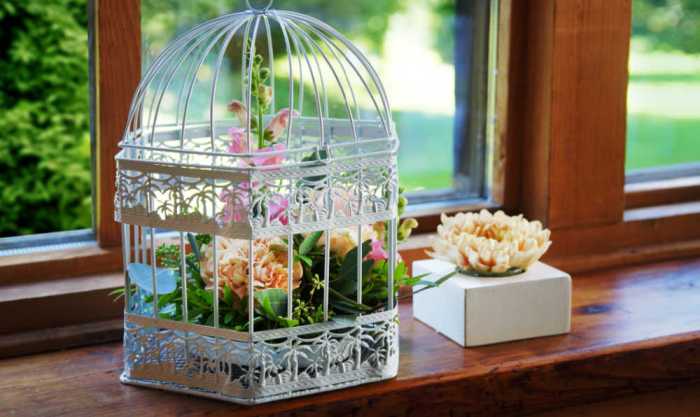 Bird cages decorative victorian cage decor large style sale antique cool aristocratic board birdcageideas birds vintage choose saved